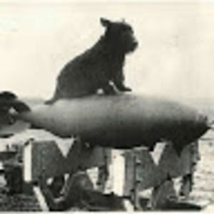 Meet your Posher, Travis